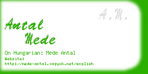 antal mede business card